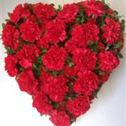Red Carnation Heart