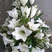 Lovely lilies