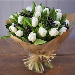 Winter White Tulips