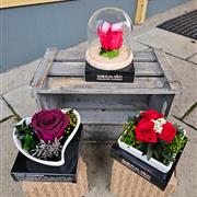 Romantic Rose In Box 