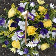 Royal purple and yellow