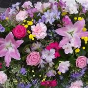 Summer Scents