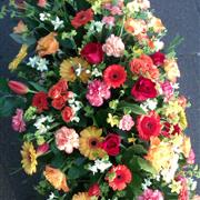 A Celebration of a Special Life