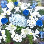 A special tribute