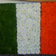 Irish Flag