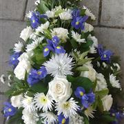 Blue anf white teardrop spray