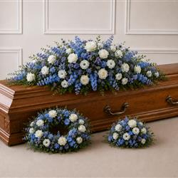 The Blue Collection